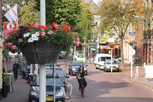 PvdA op campagne in Tuinstadwijk